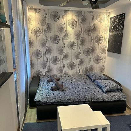Dandelion Apartment Zagabria Esterno foto